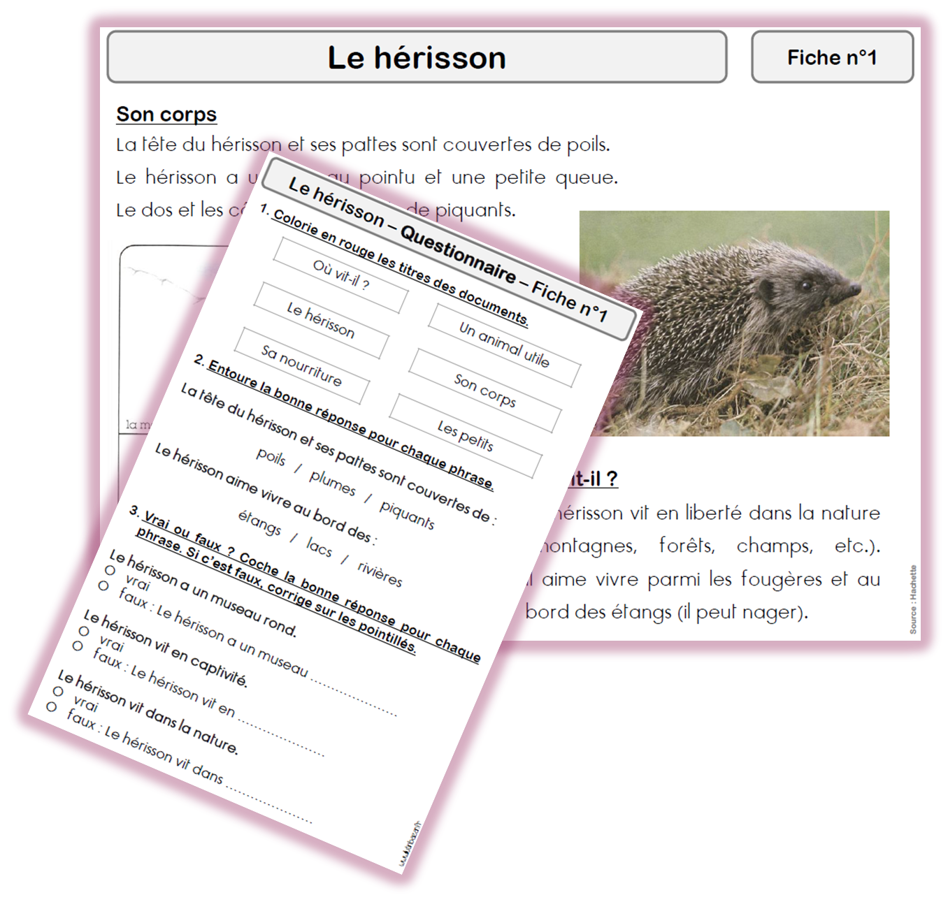 Documentaires sur les animaux - Lutin Bazar