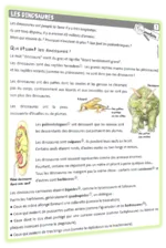 dino3