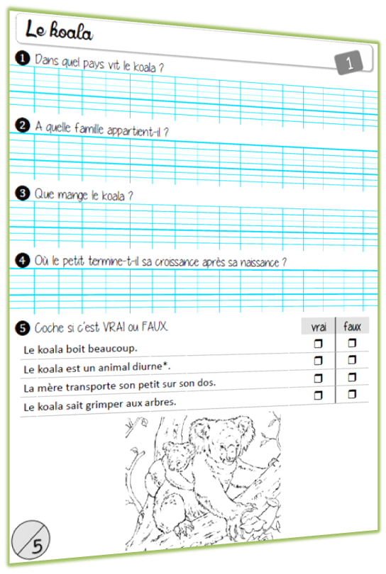 rallye lecture documentaire Animaux questionnaire