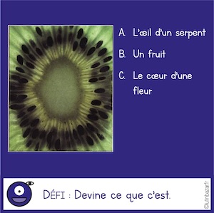 Index Of Wp Content Uploads 03