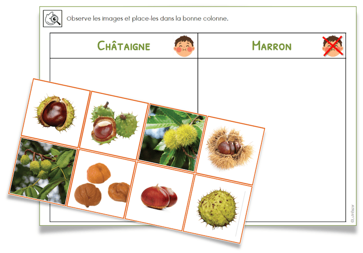 jeu marron châtaigne