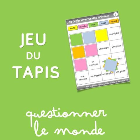Jeu du tapis – Questionner le monde